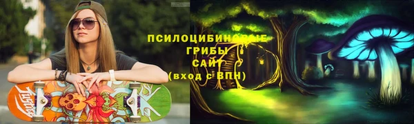 трава Саки