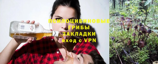 спайс Аркадак