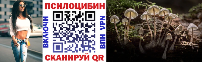 сайты даркнета клад  Кочубеевское  Галлюциногенные грибы Psilocybe  blacksprut сайт 