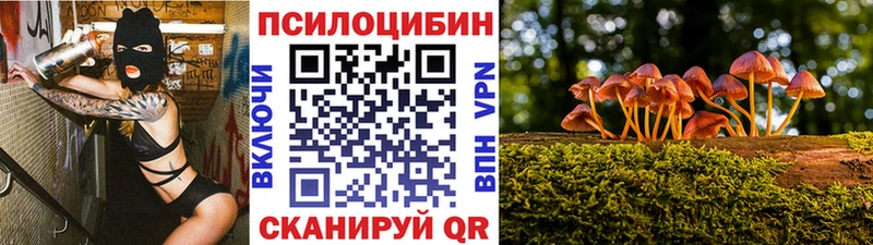 Галлюциногенные грибы Psilocybe Кочубеевское